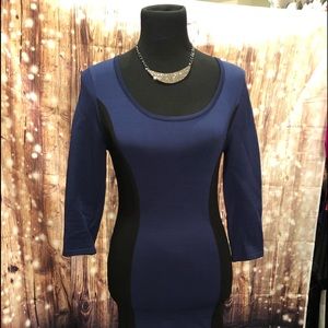 Bebe Bodycon Color block Tight fitting dress